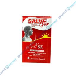 Salve Grip Te Caliente Dia Paracetamol - 1 Unidad