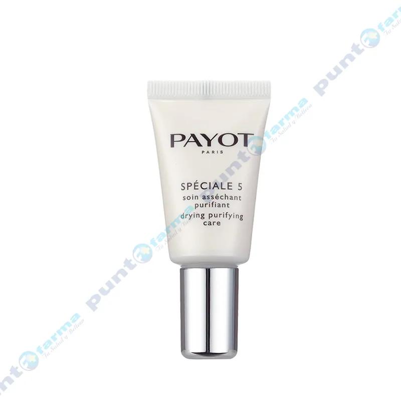 Pate Grise Speciale 5 Secante y Purificante Payot - 15 mL